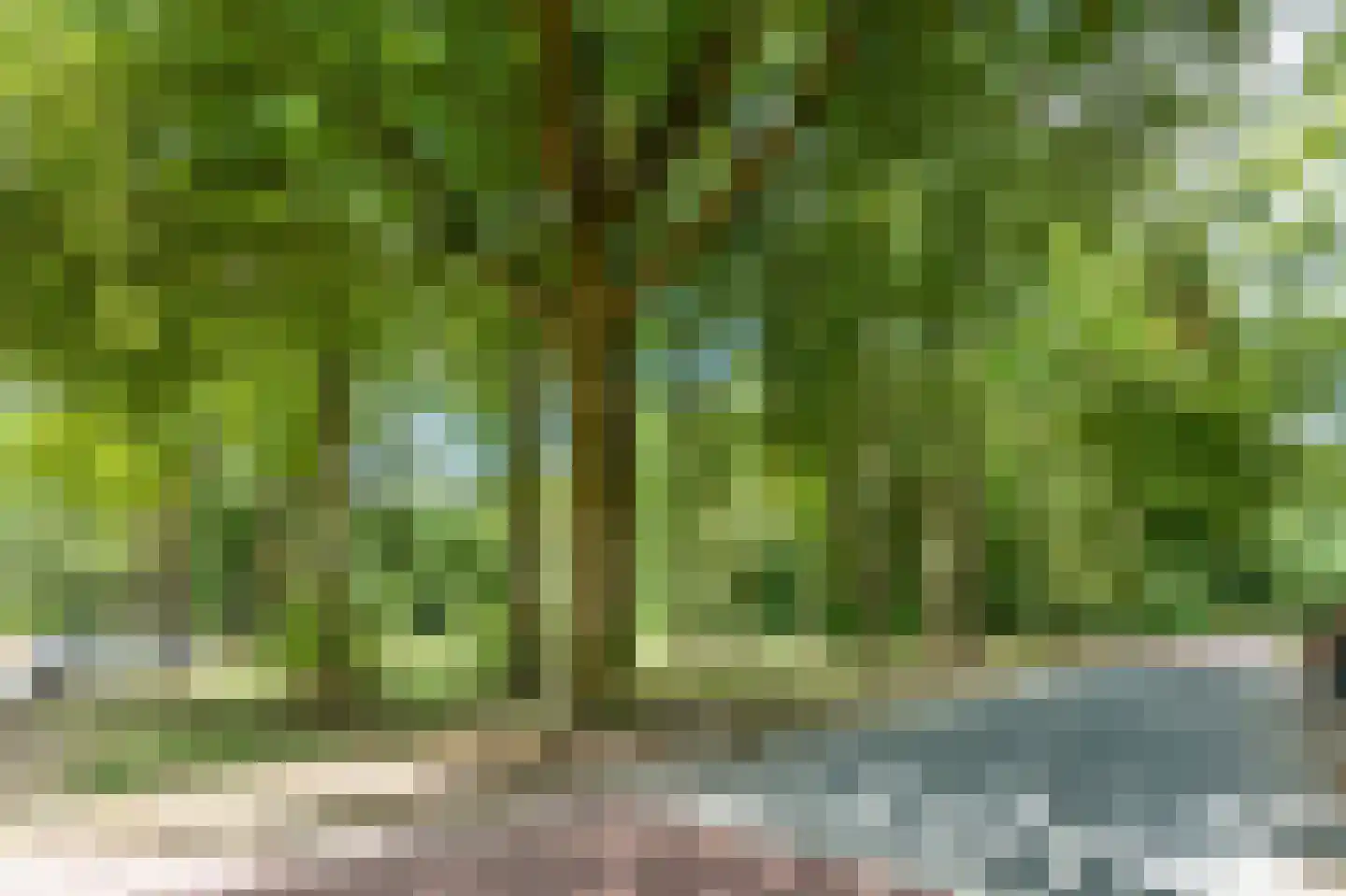 Valtherzandweg 118 C Emmen thumbnail 37