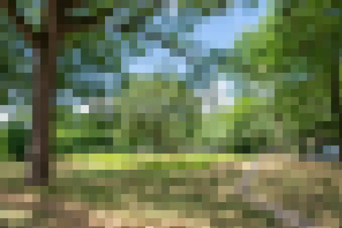 Valtherzandweg 118 C Emmen thumbnail 38