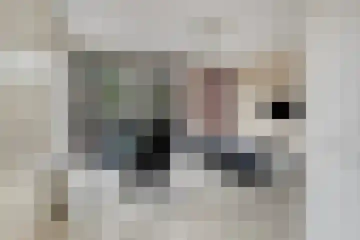 Valthestraat 2 Den Haag thumbnail 17