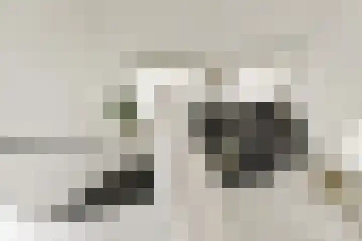 Valutaboulevard 116 Amsterdam thumbnail 10