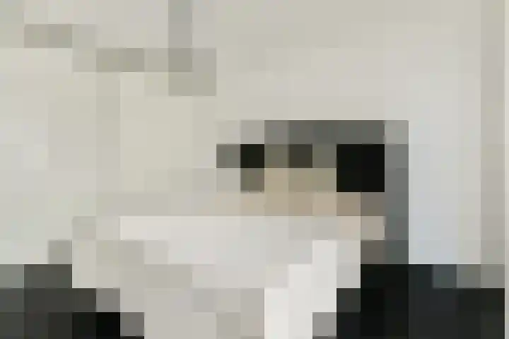 Valutaboulevard 116 Amsterdam thumbnail 13