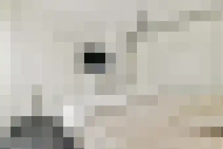 Valutaboulevard 116 Amsterdam thumbnail 14