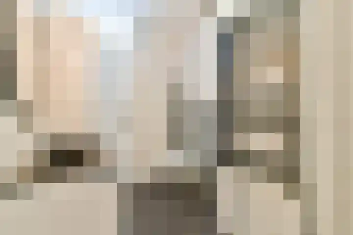 Valutaboulevard 116 Amsterdam thumbnail 18