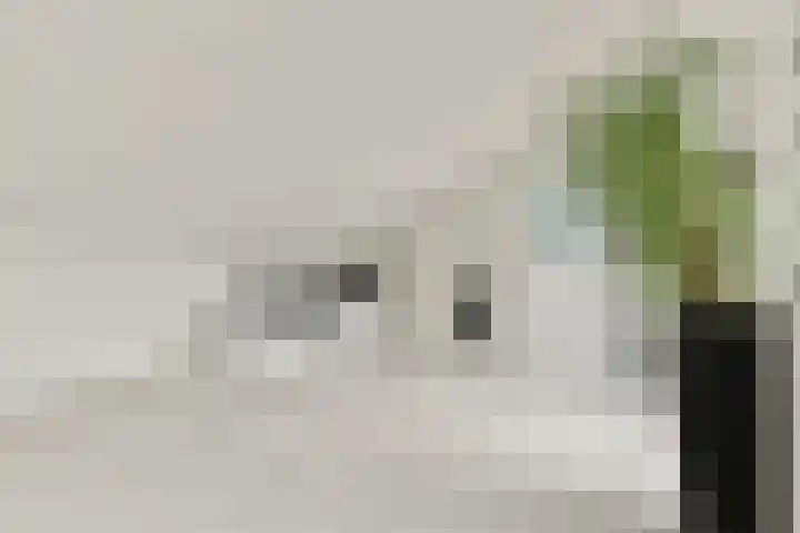 Valutaboulevard 116 Amsterdam thumbnail 20