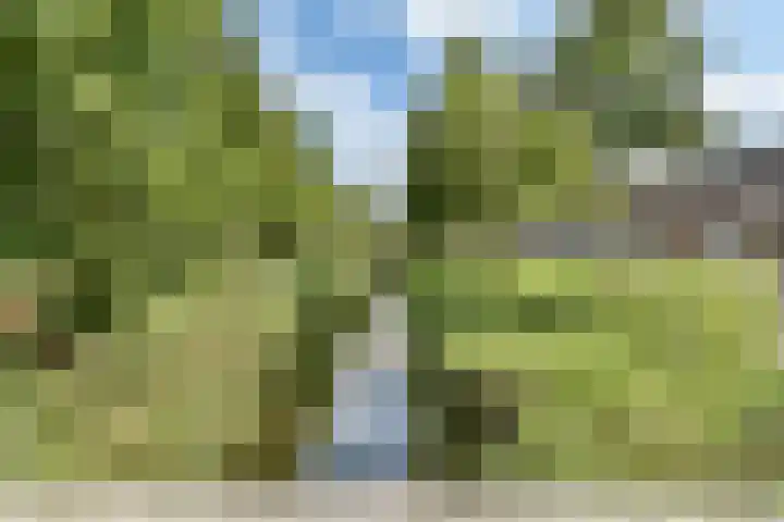 Valutaboulevard 116 Amsterdam thumbnail 28