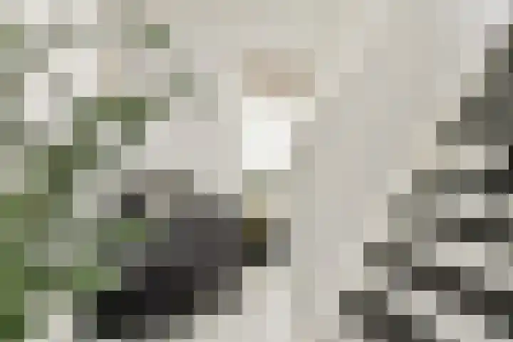 Valutaboulevard 116 Amsterdam thumbnail 6