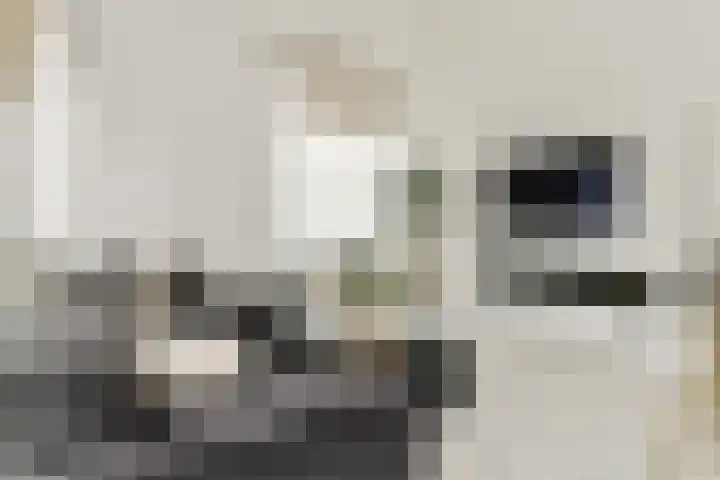 Valutaboulevard 116 Amsterdam thumbnail 7