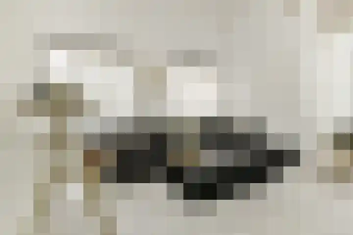 Valutaboulevard 116 Amsterdam thumbnail 8