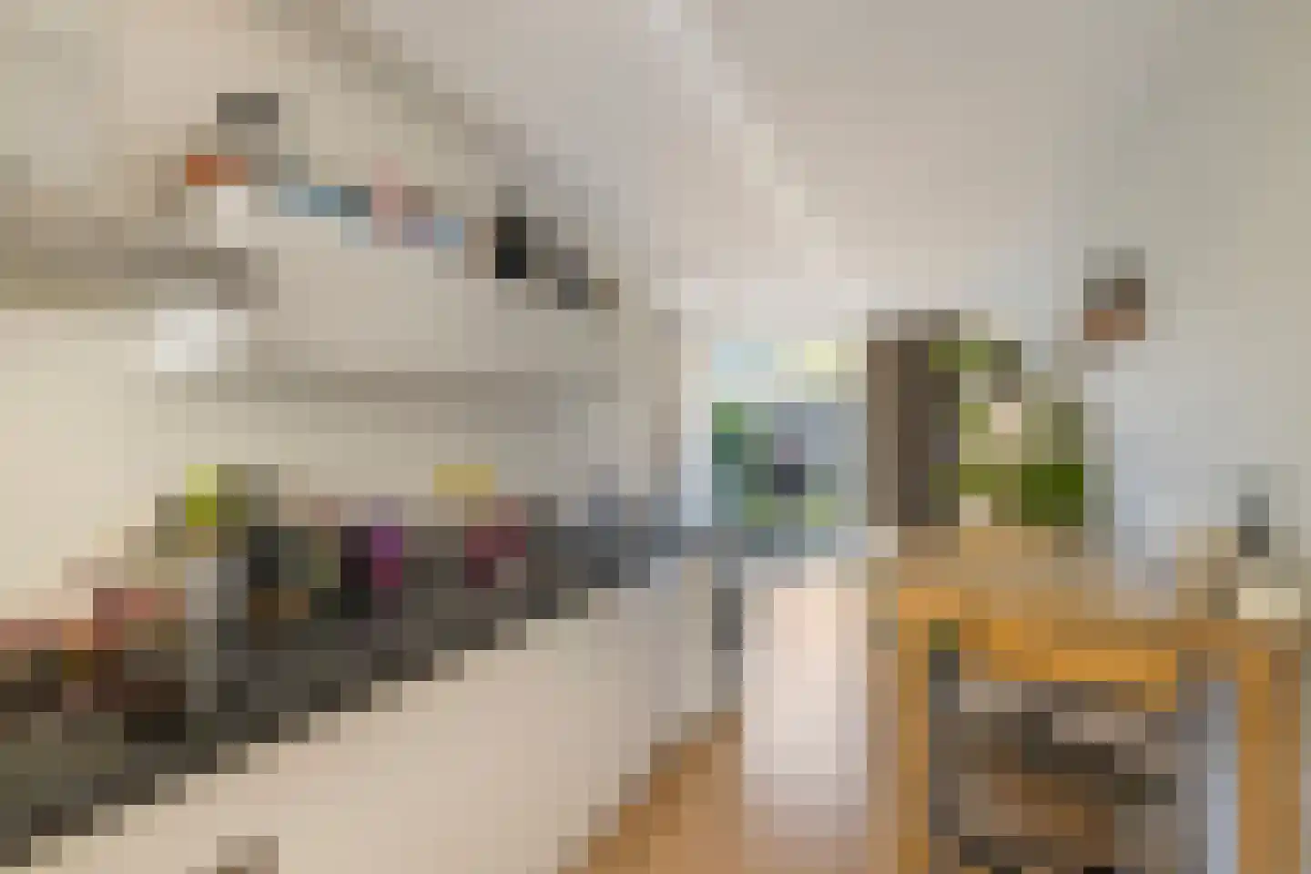 Valutaboulevard 47 Amsterdam thumbnail 11
