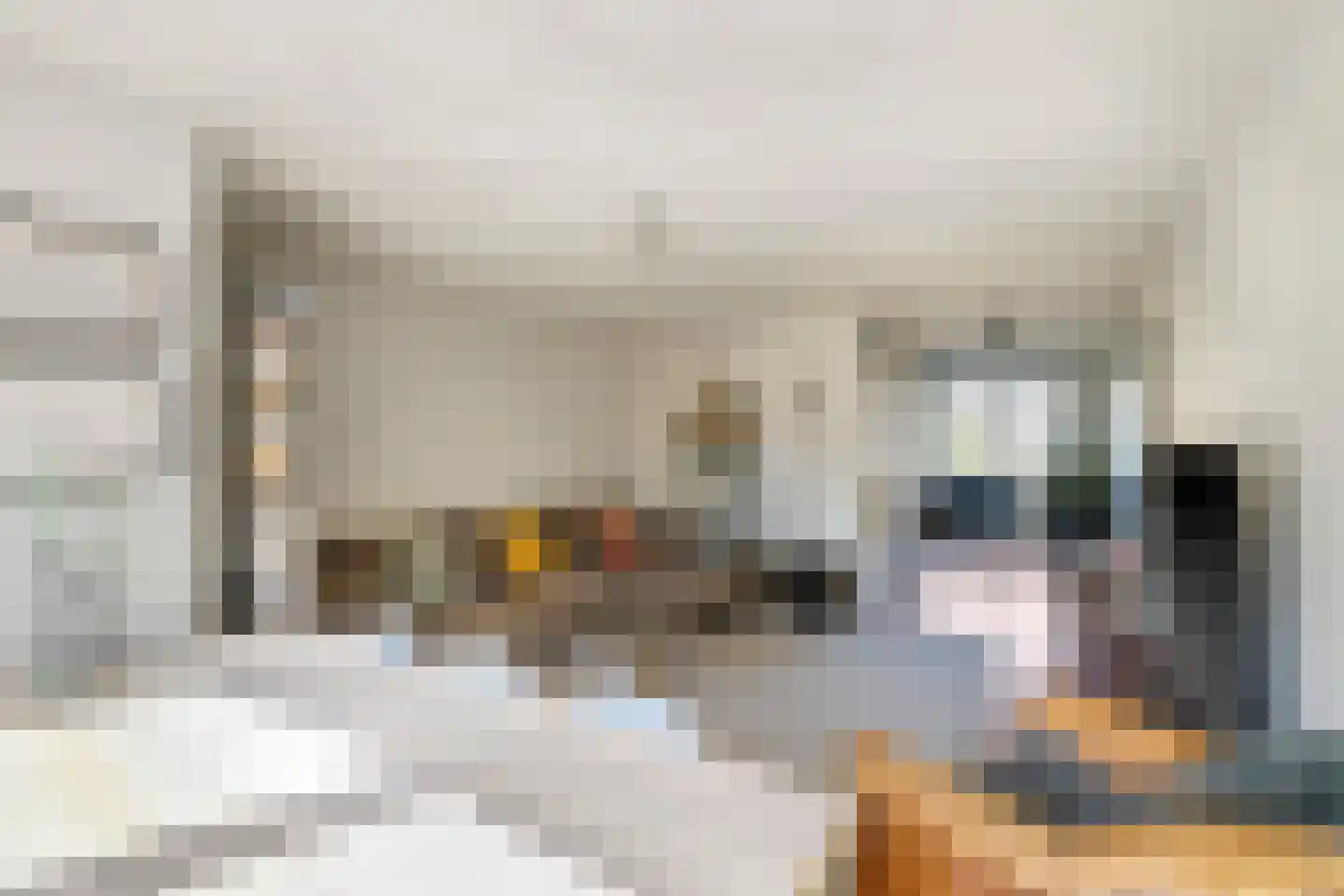 Valutaboulevard 47 Amsterdam thumbnail 20