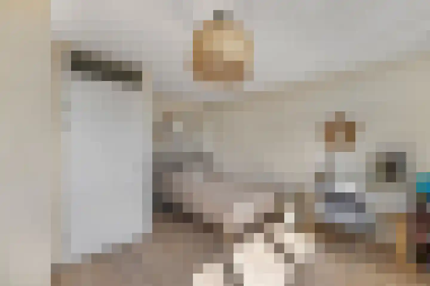 Valutaboulevard 47 Amsterdam thumbnail 5