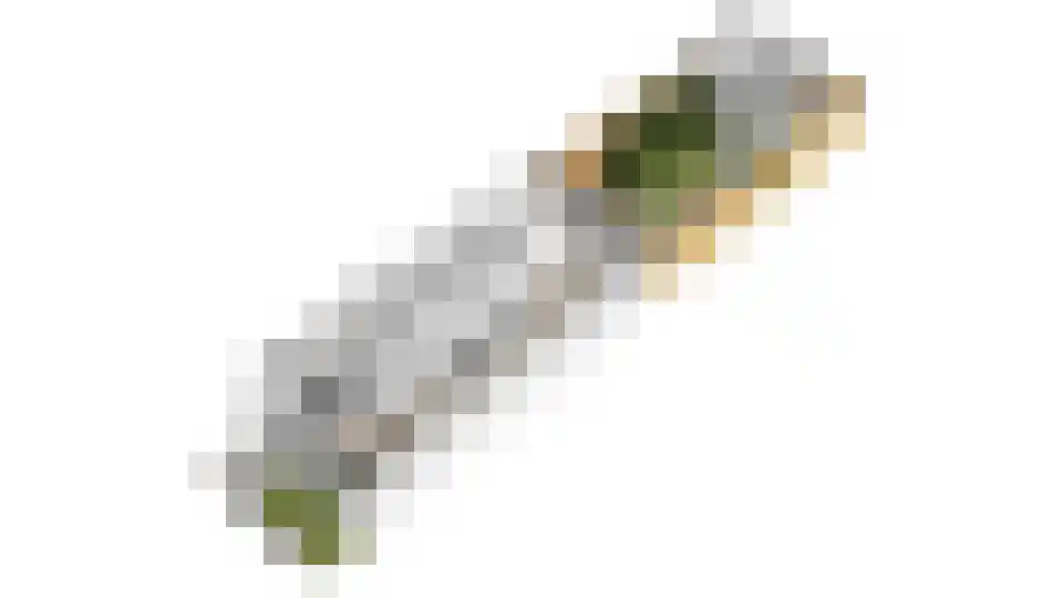 Valutaboulevard 47 Amsterdam thumbnail 63