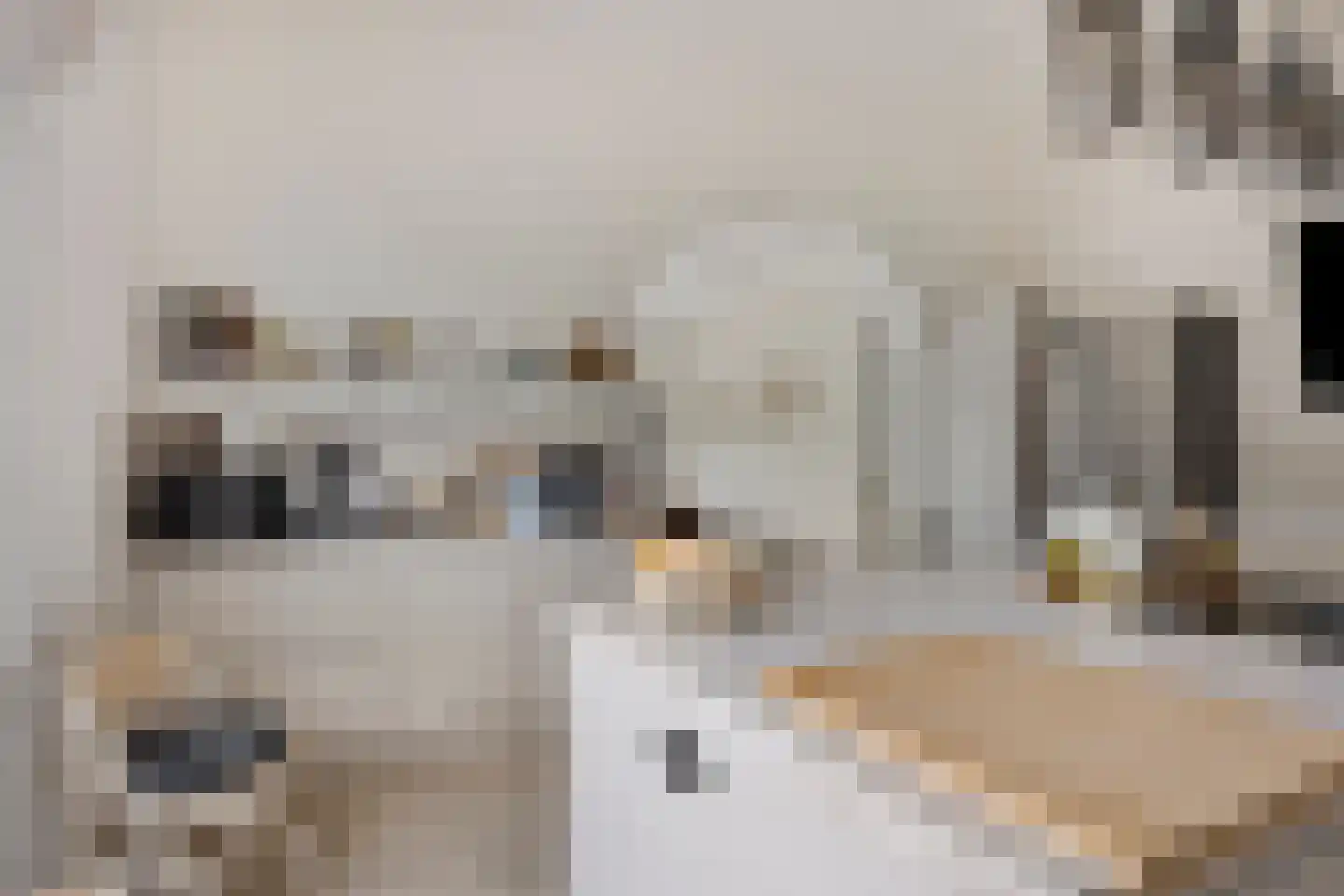 Valutaboulevard 5 Amersfoort thumbnail 7