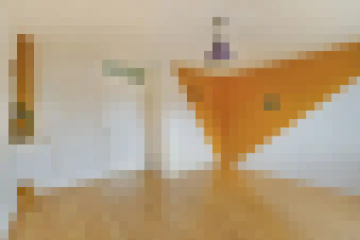Valutaboulevard 50 Amsterdam thumbnail 16