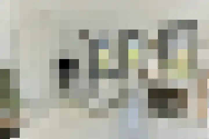 Valutaboulevard 77 Amersfoort thumbnail 10