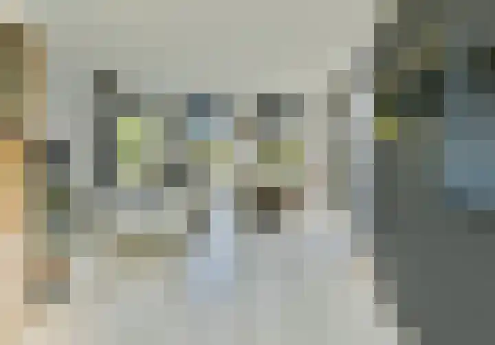 Valutaboulevard 77 Amersfoort thumbnail 4