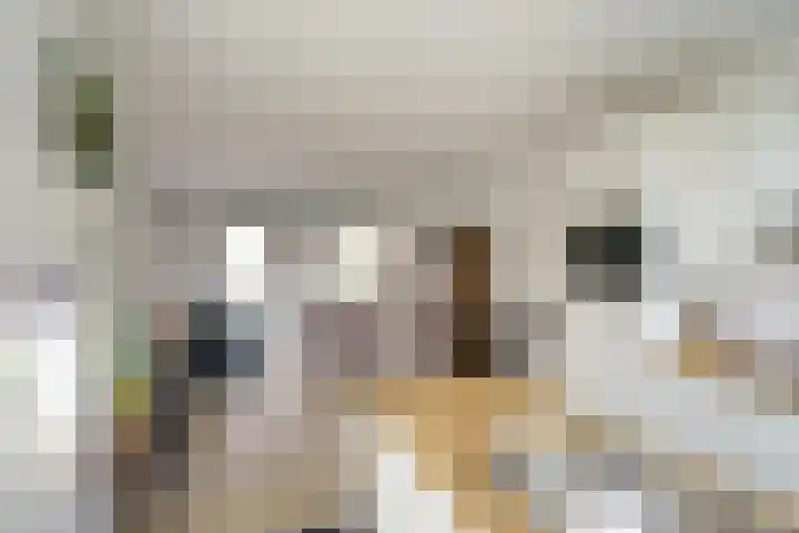 Valutaboulevard 89 Amersfoort thumbnail 10