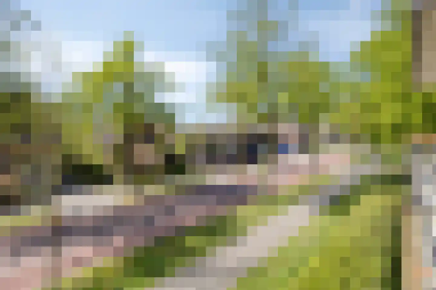 van Aalstplein 33 Hoevelaken thumbnail 12