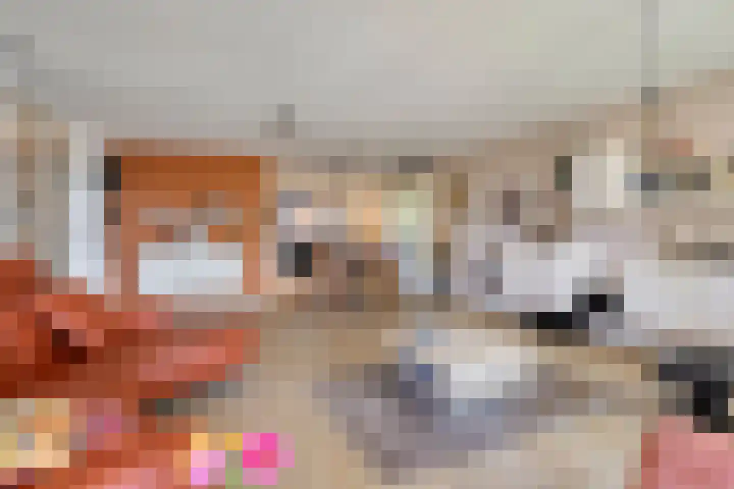 van Aalstplein 33 Hoevelaken thumbnail 14