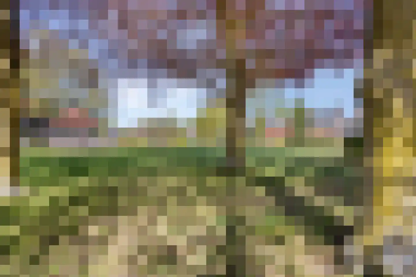 van Aalstplein 33 Hoevelaken thumbnail 34