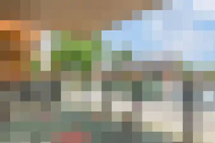 van Aalstplein 39 Hoevelaken thumbnail 23