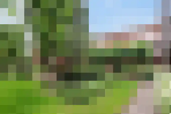 van Aalstplein 39 Hoevelaken thumbnail 26