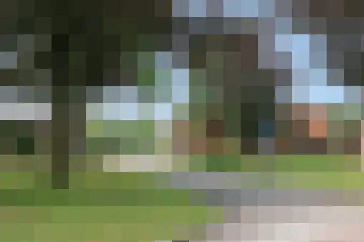 van Aalstplein 39 Hoevelaken thumbnail 28