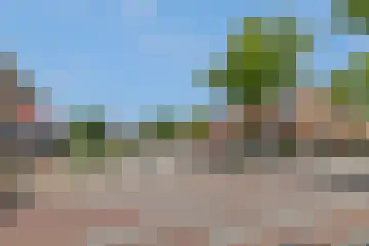 van Aalstplein 39 Hoevelaken thumbnail 29