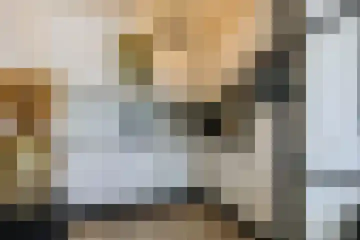 van Aalstplein 53 Hoevelaken thumbnail 11