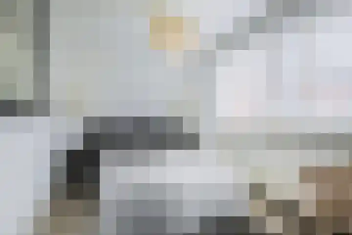van Aalstplein 53 Hoevelaken thumbnail 16