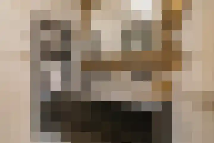van Aalstplein 53 Hoevelaken thumbnail 19