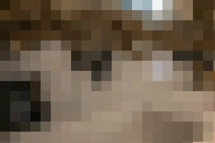 van Aalstplein 53 Hoevelaken thumbnail 20
