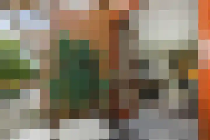 van Aalstplein 53 Hoevelaken thumbnail 24
