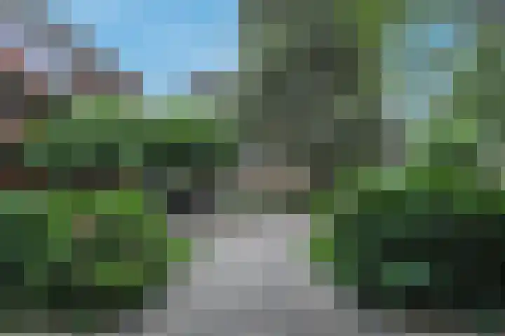 van Aalstplein 53 Hoevelaken thumbnail 28