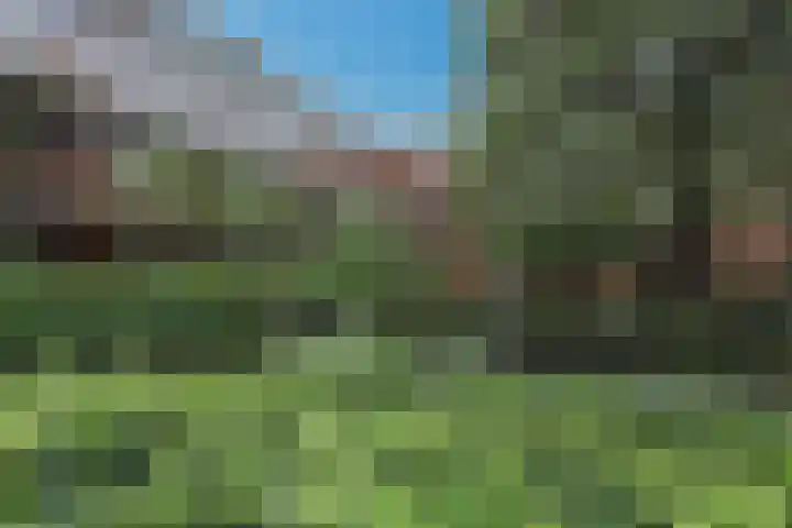van Aalstplein 53 Hoevelaken thumbnail 29