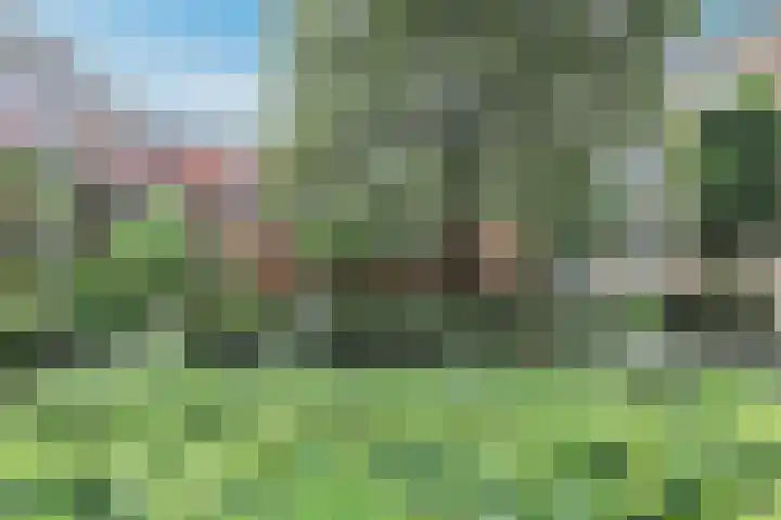 van Aalstplein 53 Hoevelaken thumbnail 30