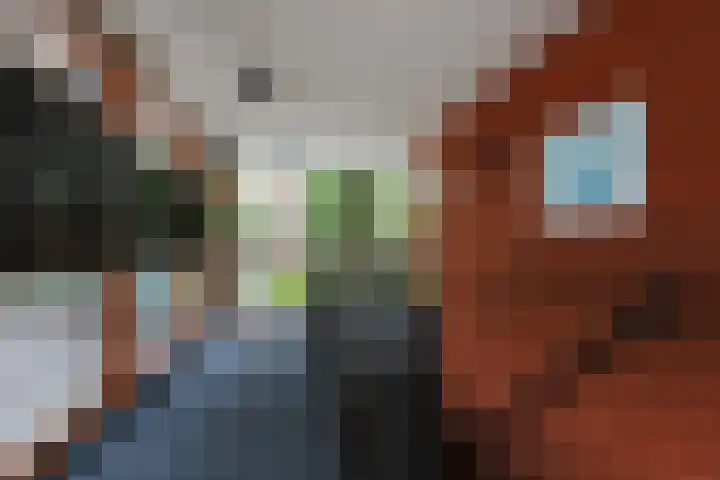van Aalstplein 53 Hoevelaken thumbnail 36