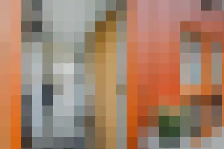 van Aalstplein 53 Hoevelaken thumbnail 37