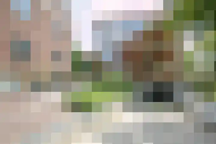 van Aalstplein 53 Hoevelaken thumbnail 40