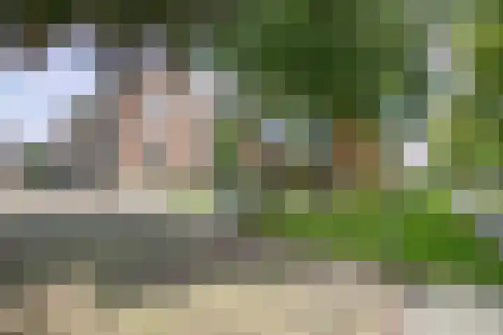 van Aalstplein 53 Hoevelaken thumbnail 41