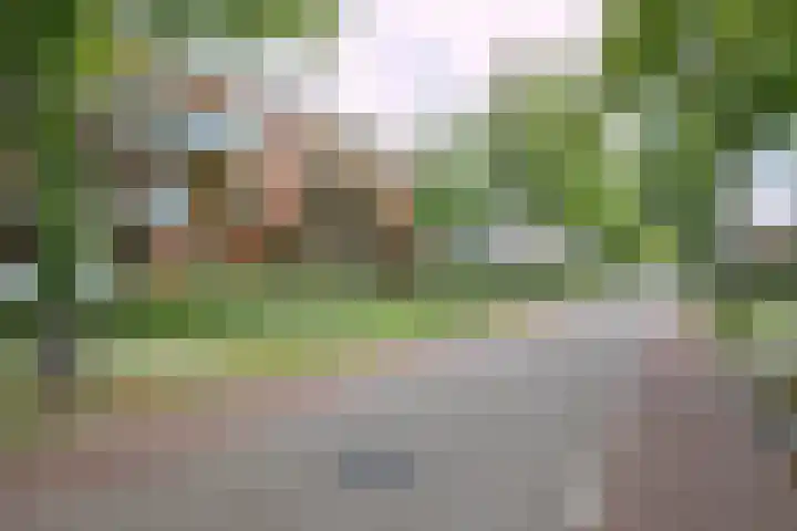 van Aalstplein 53 Hoevelaken thumbnail 42