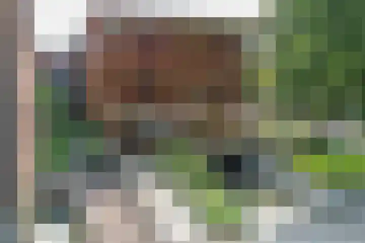 van Aalstplein 53 Hoevelaken thumbnail 43