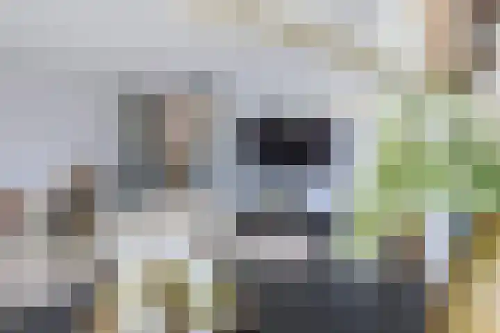 van Aalstplein 53 Hoevelaken thumbnail 7