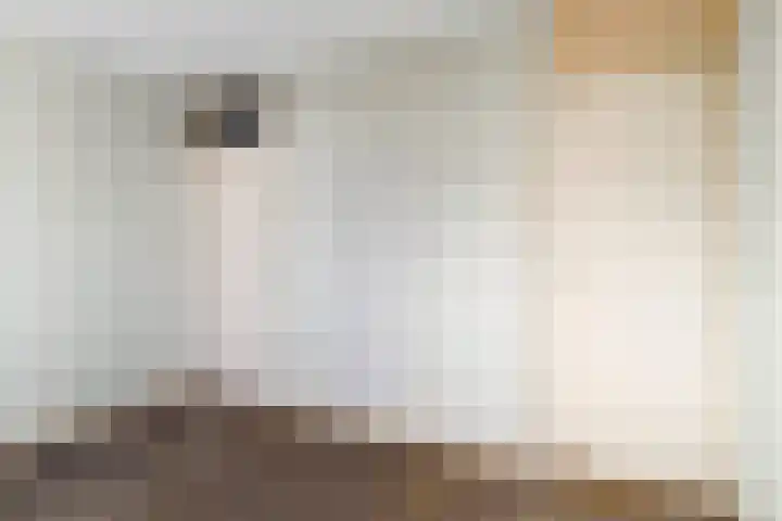 van Abbemastrjitte 6 Lollum thumbnail 16