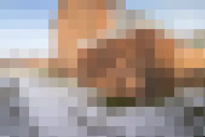 van Abbemastrjitte 6 Lollum thumbnail 21