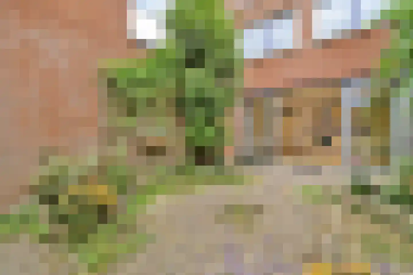 Van Abbestraat 18 Amsterdam thumbnail 9