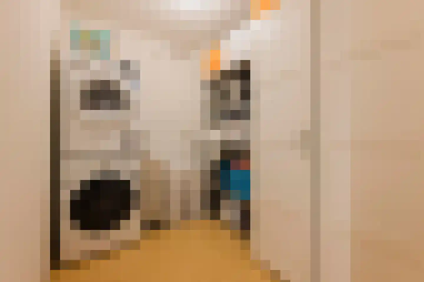 Van Abbestraat 289 Amsterdam thumbnail 25