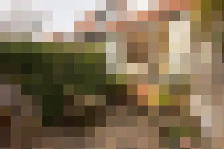 Van Abbestraat 289 Amsterdam thumbnail 5