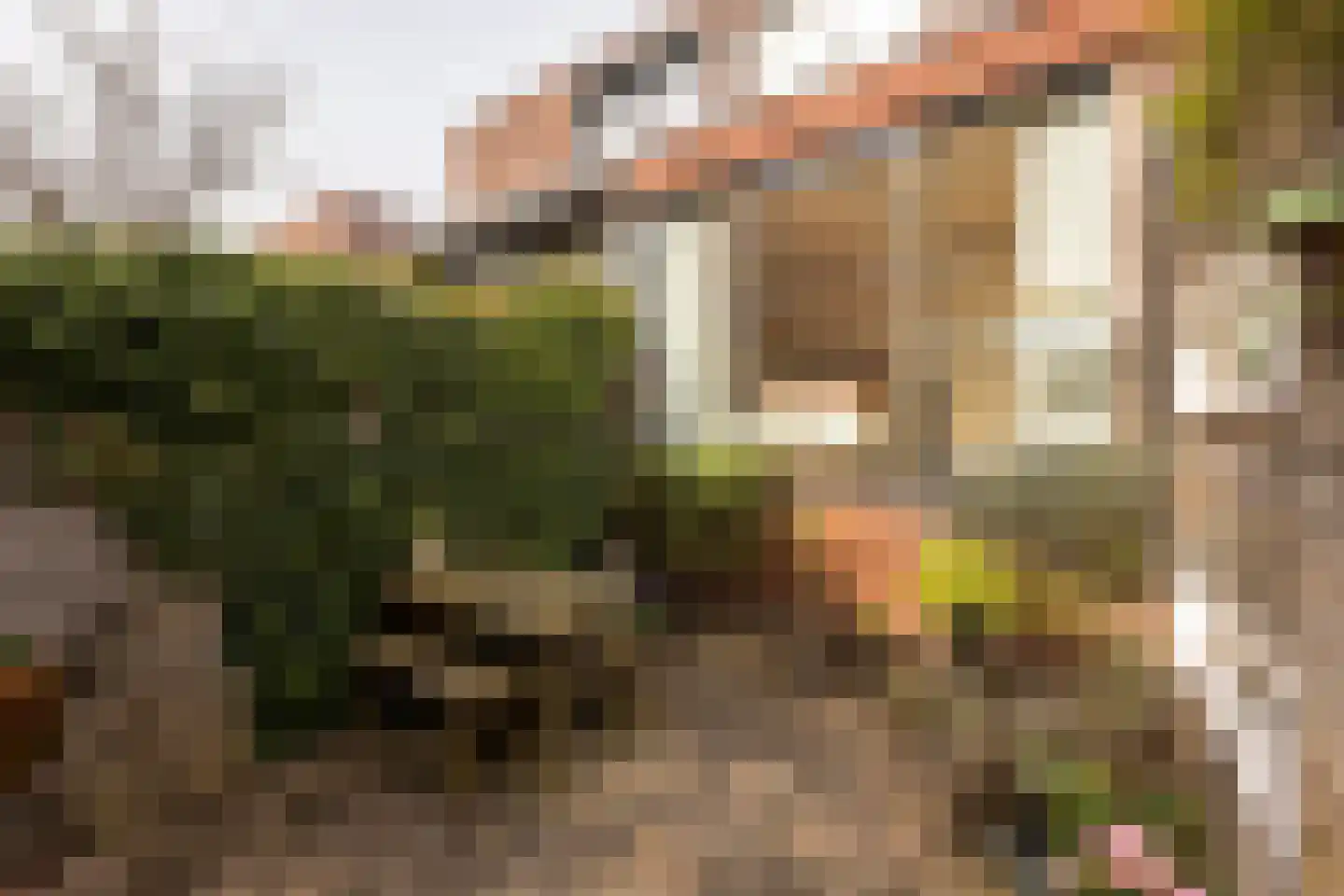 Van Abbestraat 289 Amsterdam thumbnail 5