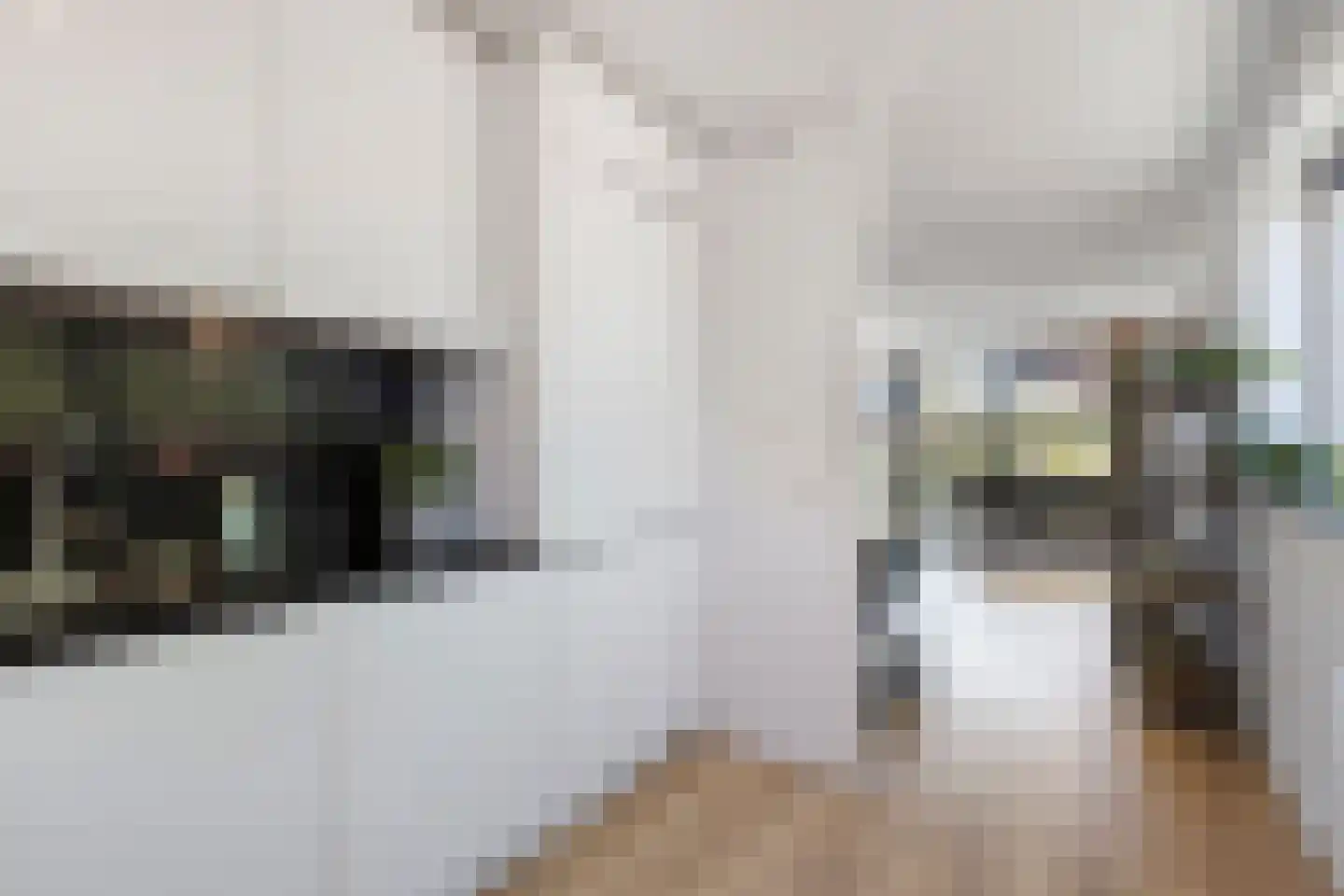 Van Abbestraat 32 Amsterdam thumbnail 15